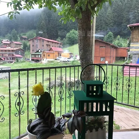 Dolunay *