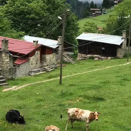 Dolunay Апартаменты