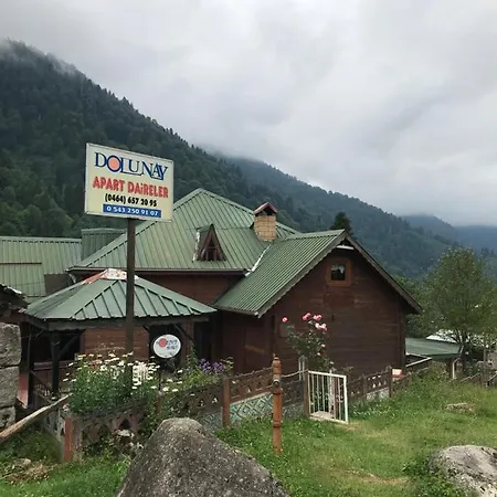 Dolunay *