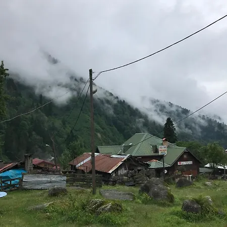 Dolunay Яйла-Айдер