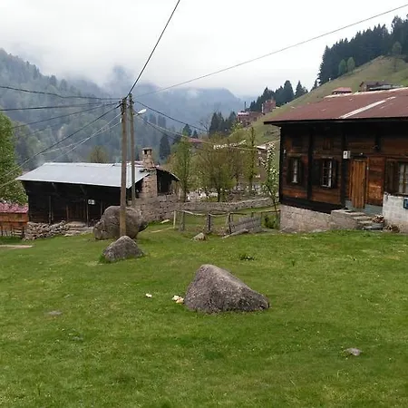 Dolunay