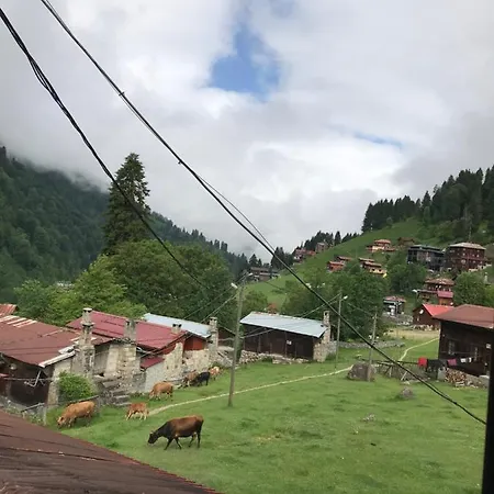 Dolunay Apartment Ayder Yaylasi
