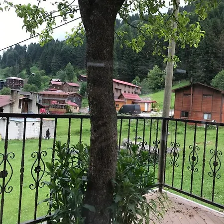 Dolunay