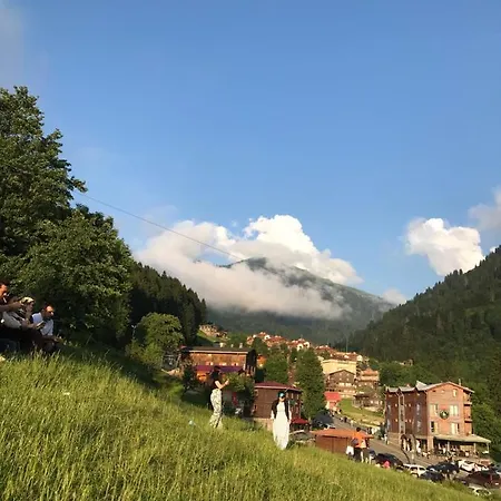 Apartment Dolunay