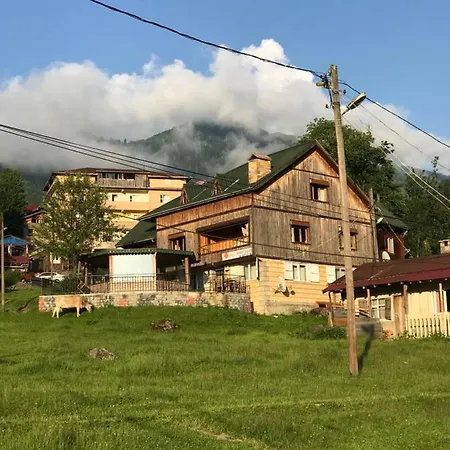 Dolunay Apartment Ayder Yaylasi